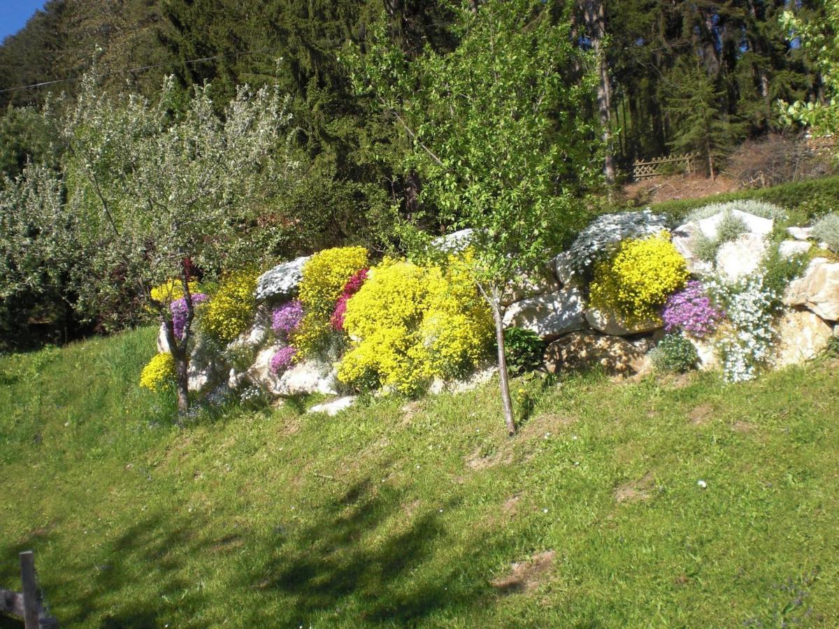 Ferienwohnungen Eggarter Fresach ภายนอก รูปภาพ